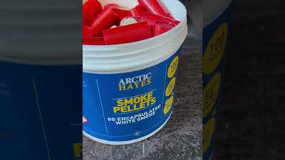 s my Log Burner SAFE?  Smoke Testing the Flue & I Need Your Help!