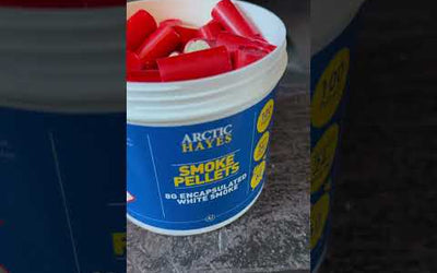 s my Log Burner SAFE?  Smoke Testing the Flue & I Need Your Help!